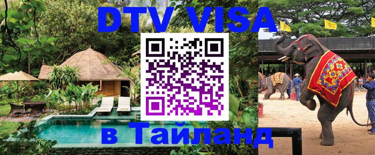 Сколько стоит DTV виза — актуальные цены, оформление даже без документов - Оренбург 